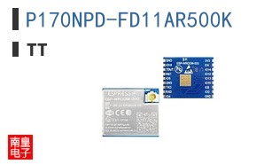 P170NPD-FD11AR500K