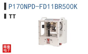 P170NPD-FD11BR500K