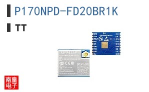 P170NPD-FD20BR1K