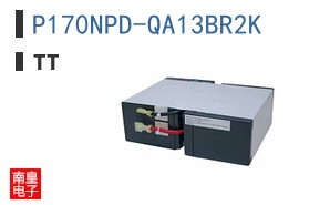 P170NPD-QA13BR2K