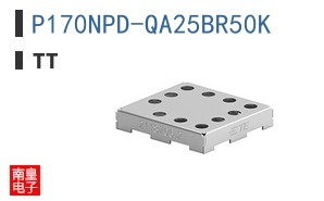 P170NPD-QA25BR50K