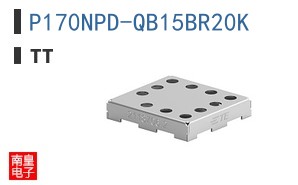 P170NPD-QB15BR20K