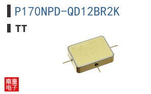 P170NPD-QD12BR2K