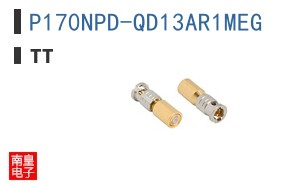 P170NPD-QD13AR1MEG