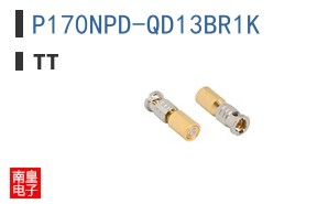 P170NPD-QD13BR1K