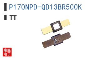 P170NPD-QD13BR500K