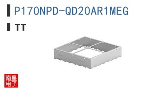 P170NPD-QD20AR1MEG