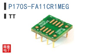 P170S-FA11CR1MEG