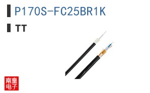 P170S-FC25BR1K