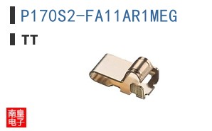 P170S2-FA11AR1MEG