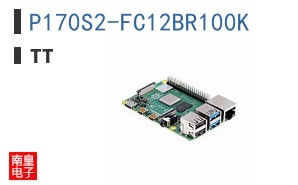P170S2-FC12BR100K