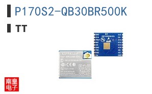 P170S2-QB30BR500K