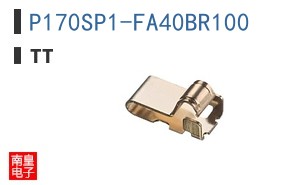P170SP1-FA40BR100