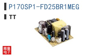 P170SP1-FD25BR1MEG