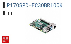P170SPD-FC30BR100K