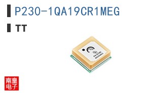 P230-1QA19CR1MEG