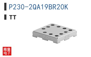 P230-2QA19BR20K