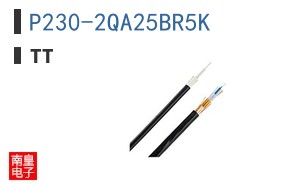 P230-2QA25BR5K