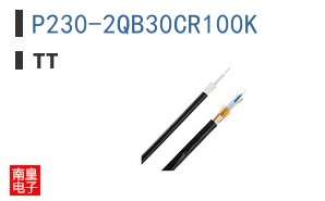 P230-2QB30CR100K