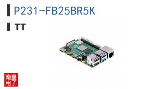 P231-FB25BR5K