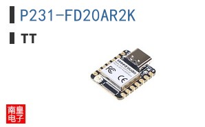 P231-FD20AR2K