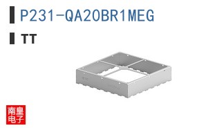 P231-QA20BR1MEG