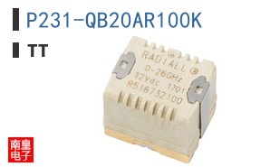P231-QB20AR100K