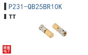 P231-QB25BR10K