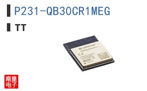 P231-QB30CR1MEG