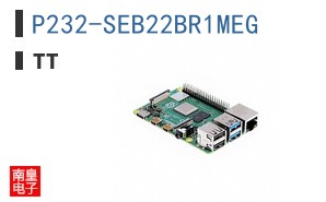 P232-SEB22BR1MEG