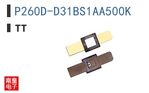 P260D-D31BS1AA500K