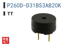 P260D-D31BS3AB20K