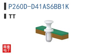 P260D-D41AS6BB1K