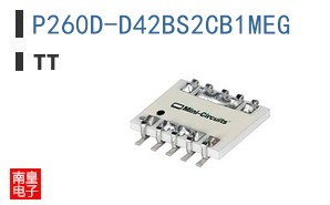P260D-D42BS2CB1MEG