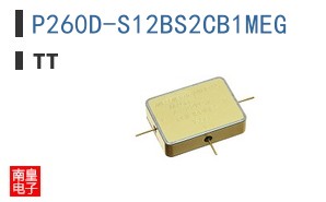 P260D-S12BS2CB1MEG