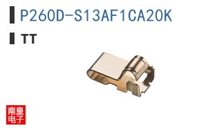 P260D-S13AF1CA20K