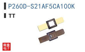 P260D-S21AF5CA100K