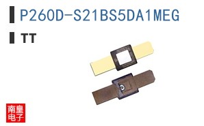 P260D-S21BS5DA1MEG