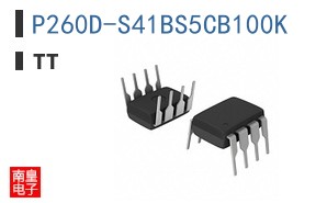 P260D-S41BS5CB100K