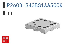 P260D-S43BS1AA500K