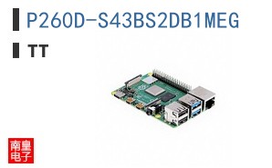 P260D-S43BS2DB1MEG