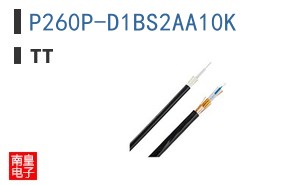 P260P-D1BS2AA10K