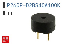 P260P-D2BS4CA100K