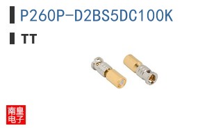P260P-D2BS5DC100K