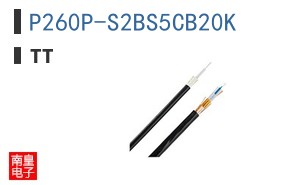 P260P-S2BS5CB20K