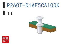 P260T-D1AF5CA100K