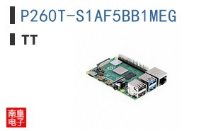 P260T-S1AF5BB1MEG