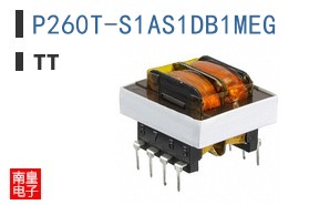 P260T-S1AS1DB1MEG