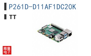 P261D-D11AF1DC20K
