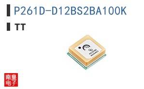 P261D-D12BS2BA100K